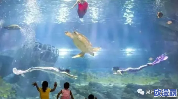 无尽梦回：探索深海之谜，体验梦幻之旅的奇妙感受