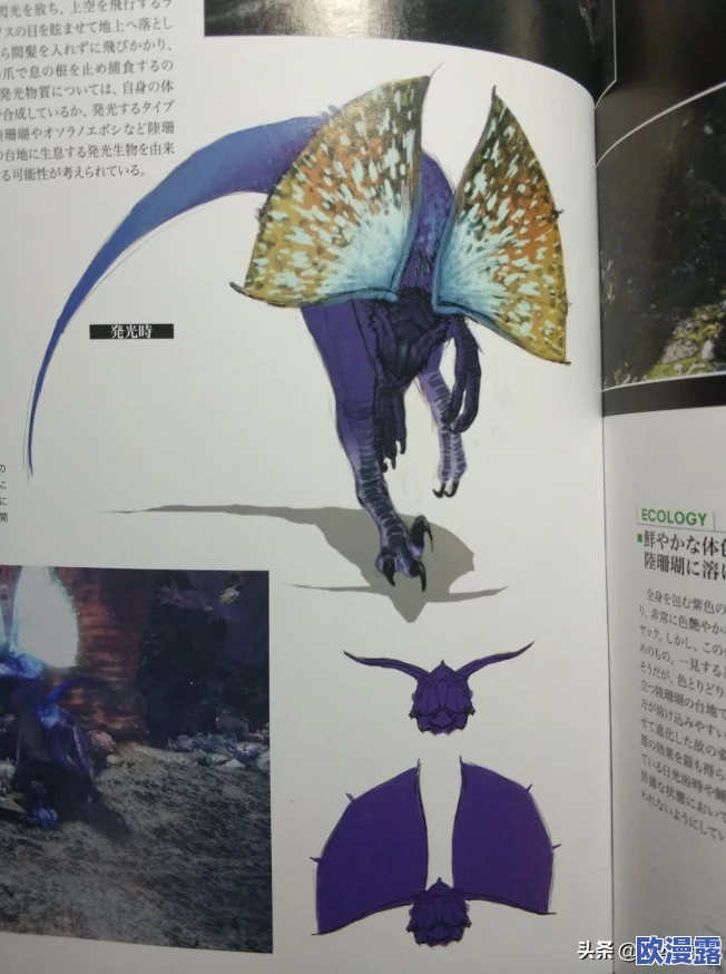 探寻怪物猎人中的眩鸟:它的栖息地与出现位置详解 探寻怪物猎人中的眩鸟:它的栖息地与出现位置详解