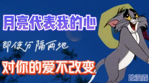 汤姆温馨友情提示十八：如何在忙碌生活中保持良好的人际关系与心灵平衡的实用建议