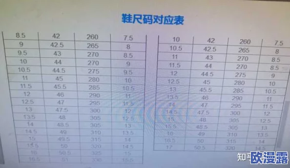 国产尺码和欧洲尺码表对照：了解不同国家服装尺码的差异与选择指南，助你轻松购物无忧