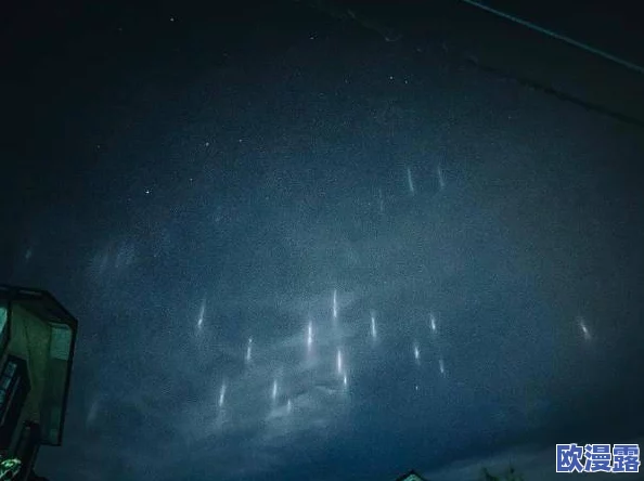 缅北强上网站引发全球关注，背后隐藏的秘密交易活动曝光，网友热议安全风险与发展前景！