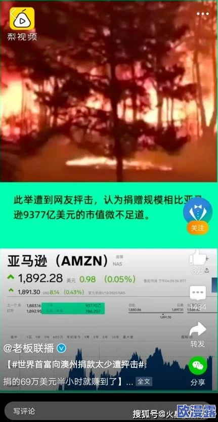 缅北强上网站引发全球关注，背后隐藏的秘密交易活动曝光，网友热议安全风险与发展前景！