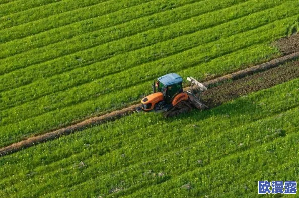 2024热门必玩！肝度满满的种田手游大盘点，你准备好了吗？