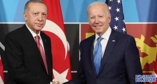 被讨厌的公夜袭到怀孕后果：女子意外怀孕引发家庭风波，真相令人震惊！