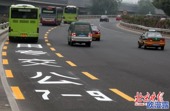 公交车轮换对人际交往的影响：新研究揭示公共交通变化如何促进社交互动与城市生活质量提升