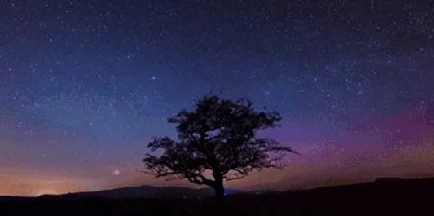 勇者大冒险新手玩家必备技巧攻略:全面解析快速成长秘籍 勇者大冒险新手玩家必备技巧攻略:全面解析快速成长秘籍