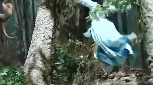 还珠格格之紫薇福伦山洞蛇咬，惊险瞬间引发观众热议，剧情反转让人目不暇接！