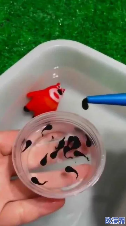 视频蝌蚪窝：全新内容上线，带你领略不一样的创意短视频世界，快来一起分享精彩瞬间！