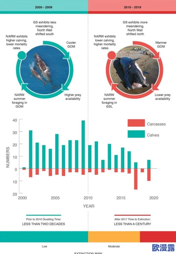 yw193龙物失联，专家分析可能与气候变化和海洋环境恶化有关，引发广泛关注与讨论