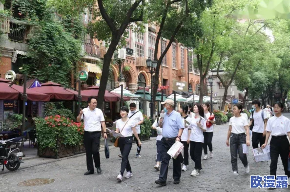 都市激情欧美视频777第四色：震撼来袭，超火热内容引发网友热议，快来一探究竟！