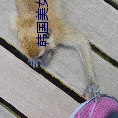 边摸边吃奶边做娇喘视频：最新动态揭示了该视频在社交媒体上的热度持续上升，引发众多网友的关注与讨论