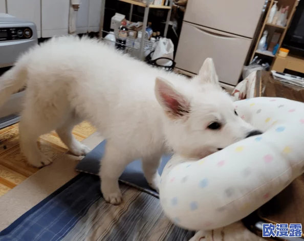 美女被艹出水,许多网友对此表示震惊,认为这种行为极其不妥,应该加强对网络内容的监管与引导 美女被艹出水,许多网友对此表示震惊,认为这种行为极其不妥,应该加强对网络内容的监管与引导