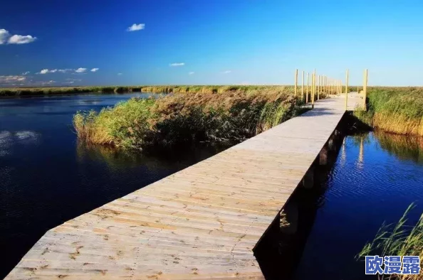 伊人国产精品：最新时尚潮流引领者，探讨如何在多变市场中保持品牌竞争力与创新活力