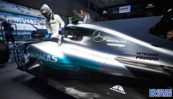 国产欧美二区：最新动态揭示市场趋势与消费者偏好变化，助力行业发展新机遇